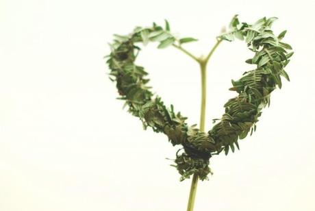 Heart from Vietnam #diy 