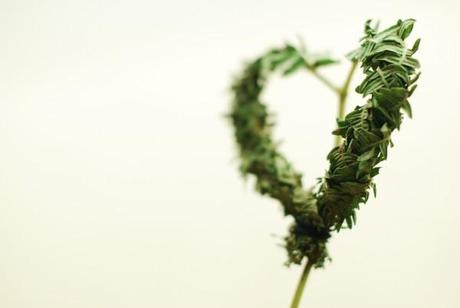 Heart from Vietnam #diy 