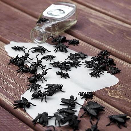 Última hora Halloween