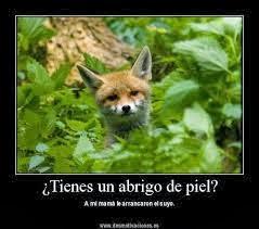 Llego el otoño: Abrigos y chaquetas