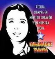 Mujeres en la Memoria: CECILIA MAGNI CAMINO Madre,jefe político-militar, Comandante