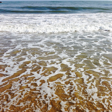 La orilla, siempre generosa