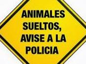 meto hostia eres hombre": aficionado Cristobal (Coruña) final cabezazo árbitro partido !!Benjamines!!