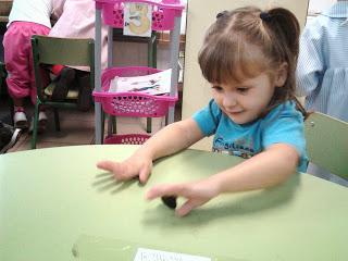 Arañas de Halloween