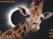 Eclipse Total Sol. Kenia 2013