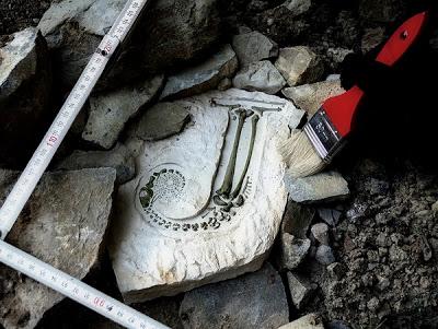 La evolución tipográfica de Andreas Scheiger