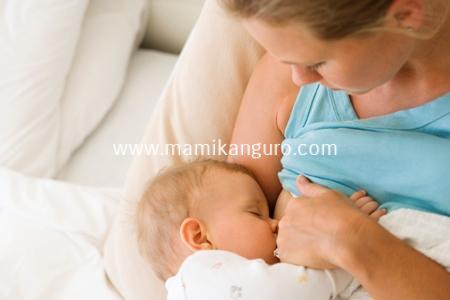 Img_autorizada_materna_lactancia_01.06.12