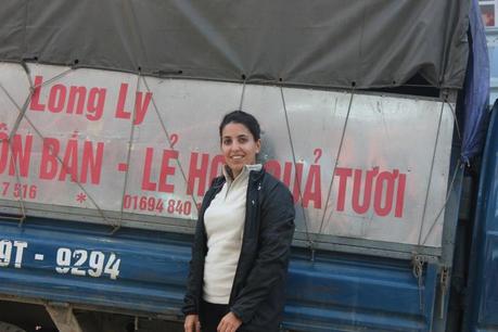  photo IMG_5947_zps285b304b.jpg