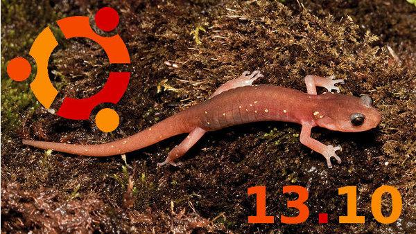 Caracteristicas de Ubuntu 13.10 Saucy Salamander