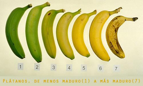 Plátanos por maduración