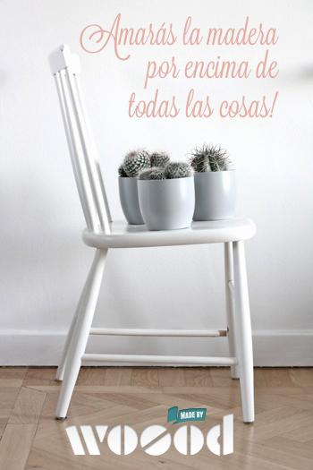 Extra! Extra!  Bueno, bonito y barato :)