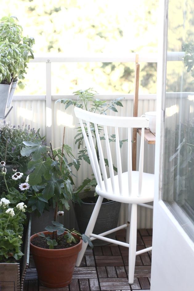 Extra! Extra!  Bueno, bonito y barato :)