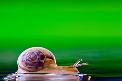 Coaching zona de confort