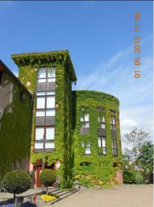 CAPRICHOS NATURALES Verde que te quiero verde megustaelmedionatural