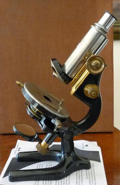 Instrumentos, biología y los cromosomas, siglo XIX