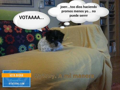 Los bitxos hacen campaña jeje