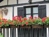 gustan....... balcones floridos