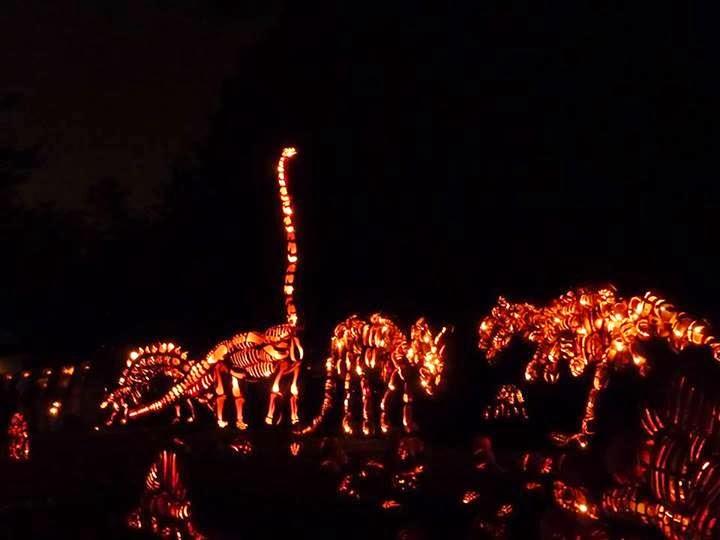 calabazas-talladas-a-mano-para-halloween-dinosaurios