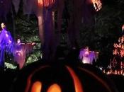 5.000 Calabazas Talladas Mano Para Halloween