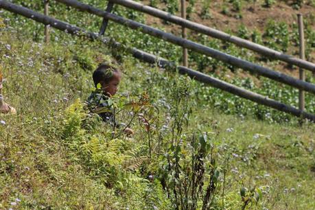  photo IMG_6046_zpse3763ee4.jpg