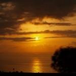 Antoni Martinez psicologo