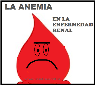 La anemia en la enfermedad renal