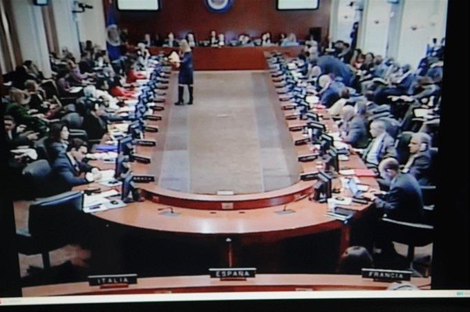 Gobierno defiende Sentencia TC ante La OEA.