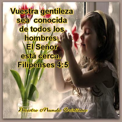 El último capítulo