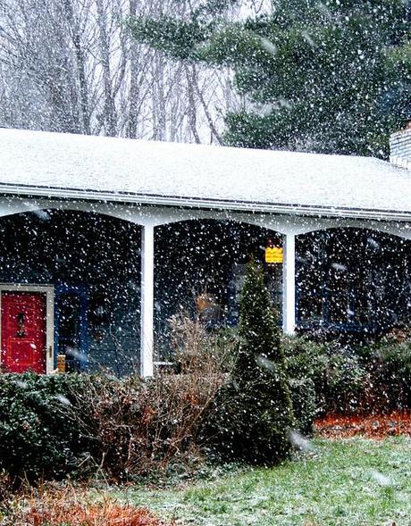 Un Hogar Lleno de Amor y de Color Un Hogar Lleno de Amor y de Color