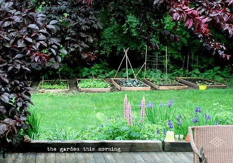 Un Hogar Lleno de Amor y de Color Un Hogar Lleno de Amor y de Color