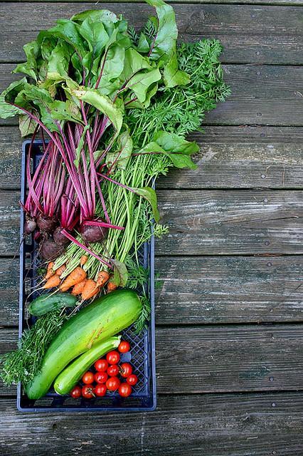 Un Hogar Lleno de Amor y de Color Un Hogar Lleno de Amor y de Color