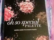 special palette Sleek