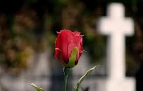 Los muertos de Halloween