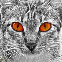 Algunas causas de ojo rojo