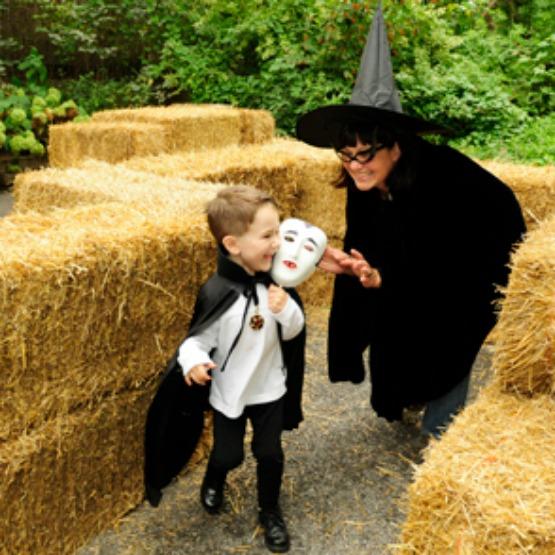 Halloween-hay-maze-at-Boo-at-the-Bronx-Zoo-Julie-Larsen-Maher