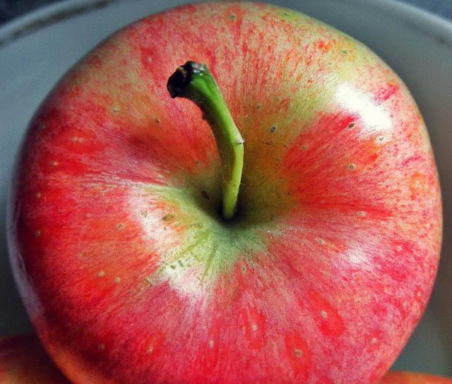 Blog hop! Macro del dia ... la belleza de lo sencillo