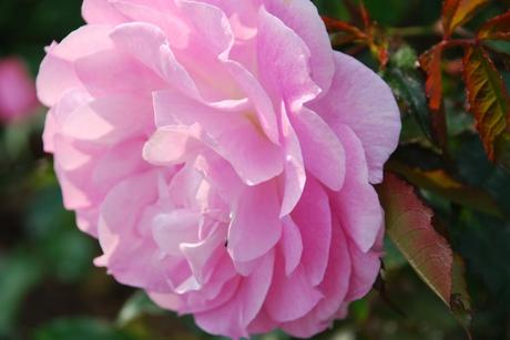 Espiritualidad vs vida espiritual (Parque Cervantes 2009) ESPIRITUALIDAD VS VIDA ESPIRITUAL (y II)