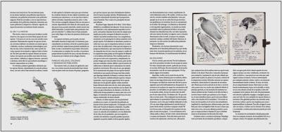 EN IMPRENTA: Viaje a las rapaces