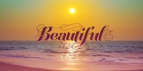 Festival Script by Sudtipos