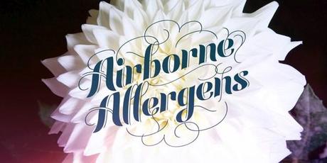 Festival Script by Sudtipos