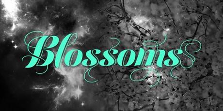 Festival Script by Sudtipos