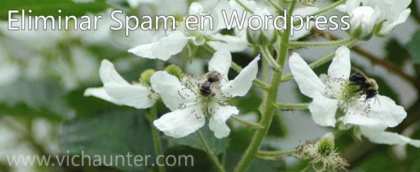 eliminar-spam-wordpress-plugin-spammer-block
