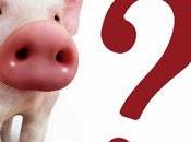 prohibición comer cerdo mundo musulmán