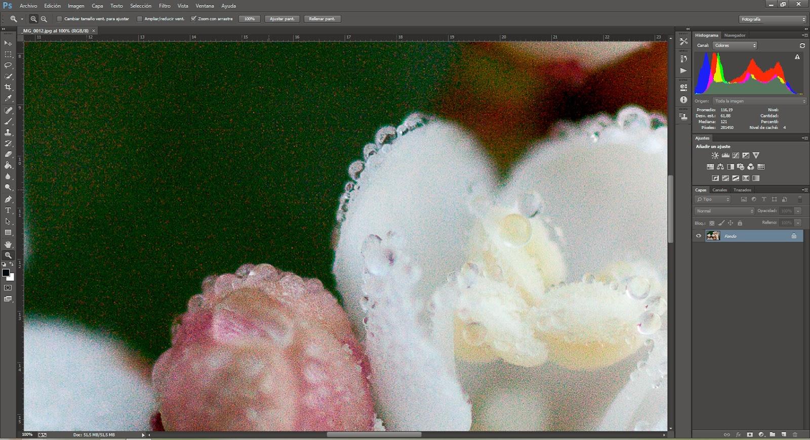 La importancia de hacer nuestra foto en RAW en vez de JPG