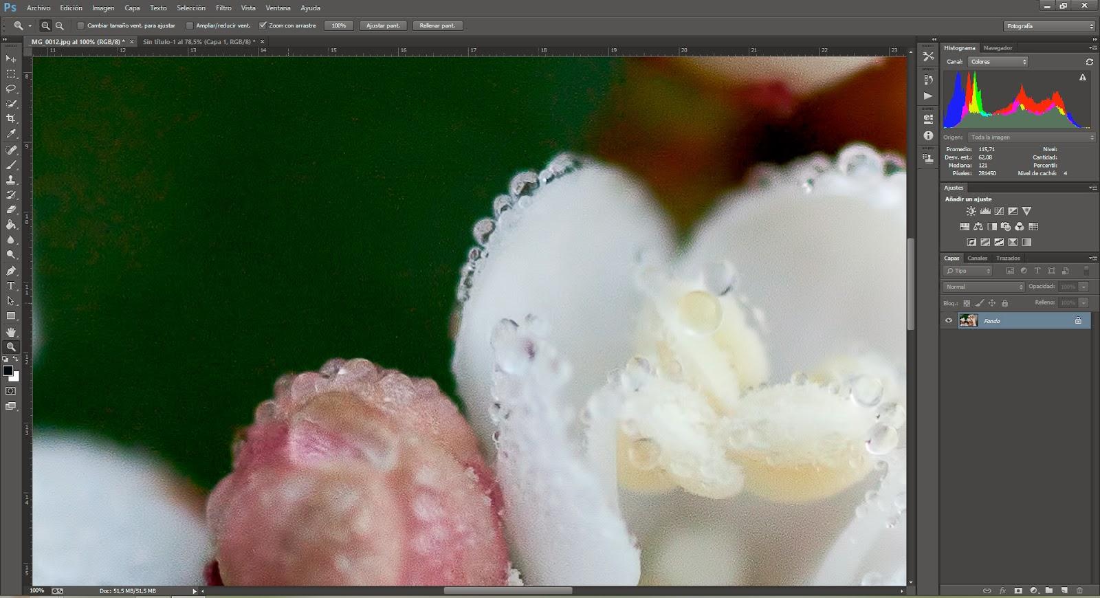 La importancia de hacer nuestra foto en RAW en vez de JPG