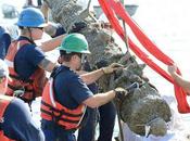 Recuperados cinco cañones barco Barbanegra