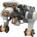 Arnidol sortea un viaje a Laponia  ¡viaja con toda tu familia!