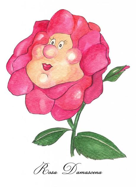 rosa ByCarla, la tienda online y su rosa damascena