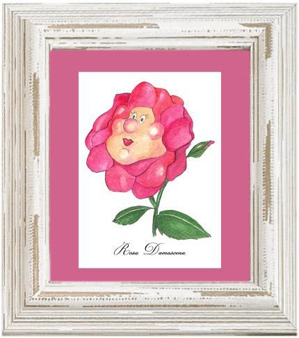 rosadamas ByCarla, la tienda online y su rosa damascena