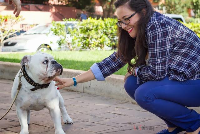 El look de la semana: Azul